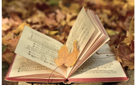 a book in a pile of leaves