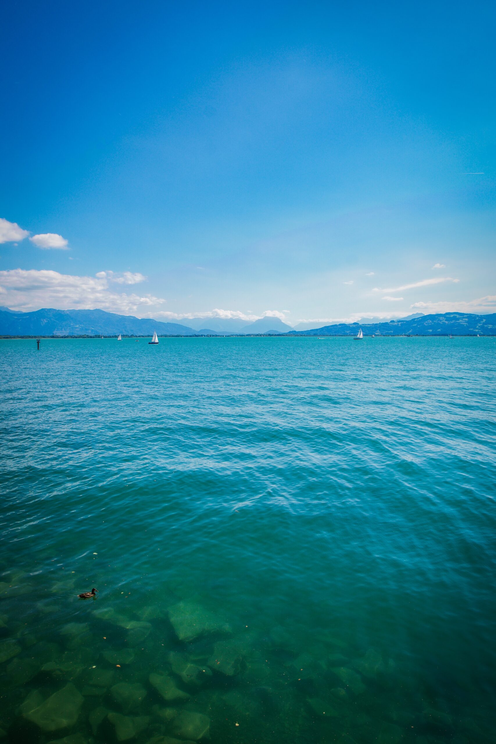 A picture of an ocean with blue skies behind